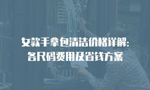 女款手拿包清洁价格详解：各尺码费用及省钱方案