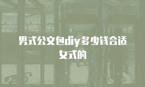 男式公文包diy多少钱合适女式的