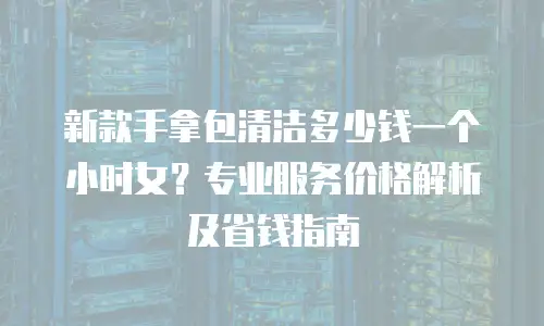 新款手拿包清洁多少钱一个小时女？专业服务价格解析及省钱指南