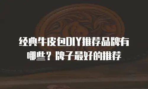 经典牛皮包DIY推荐品牌有哪些？牌子最好的推荐
