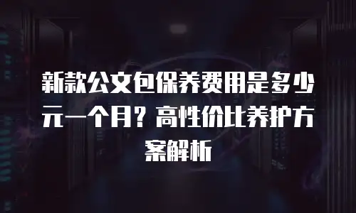 新款公文包保养费用是多少元一个月？高性价比养护方案解析