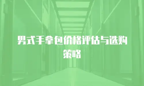 男式手拿包价格评估与选购策略