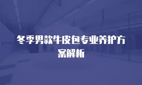 冬季男款牛皮包专业养护方案解析