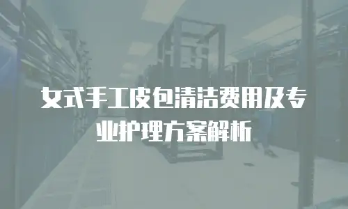 女式手工皮包清洁费用及专业护理方案解析