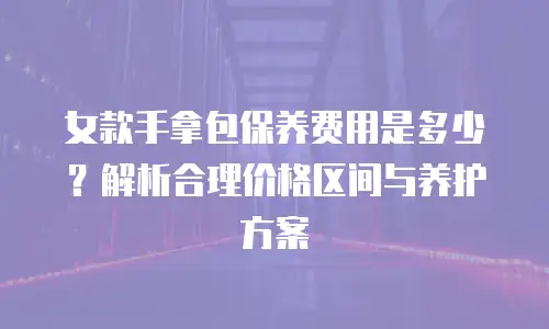 女款手拿包保养费用是多少？解析合理价格区间与养护方案