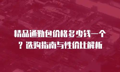 精品通勤包价格多少钱一个？选购指南与性价比解析
