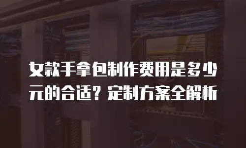 女款手拿包制作费用是多少元的合适？定制方案全解析