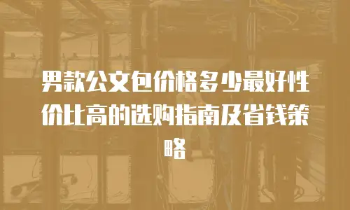 男款公文包价格多少最好性价比高的选购指南及省钱策略
