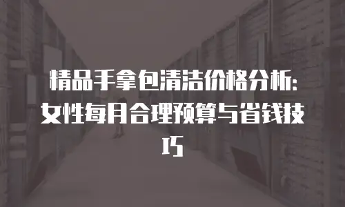 精品手拿包清洁价格分析：女性每月合理预算与省钱技巧