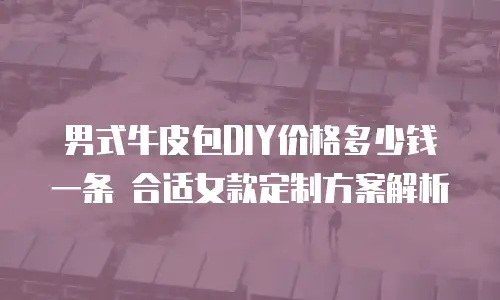 男式牛皮包DIY价格多少钱一条 合适女款定制方案解析