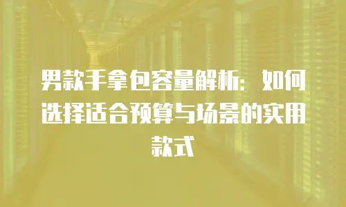 男款手拿包容量解析：如何选择适合预算与场景的实用款式