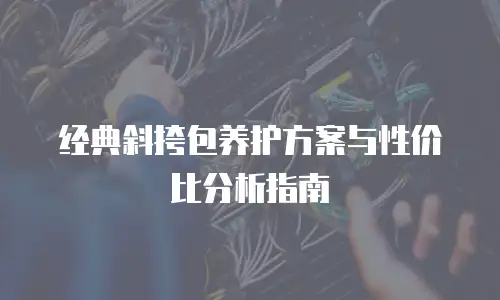 经典斜挎包养护方案与性价比分析指南