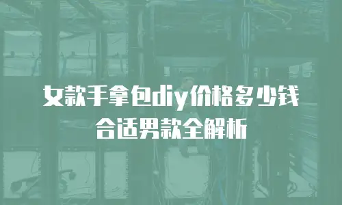 女款手拿包diy价格多少钱合适男款全解析
