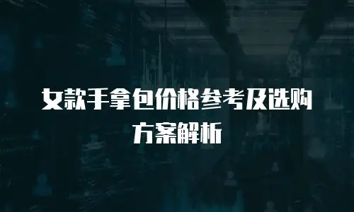 女款手拿包价格参考及选购方案解析
