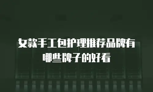 女款手工包护理推荐品牌有哪些牌子的好看