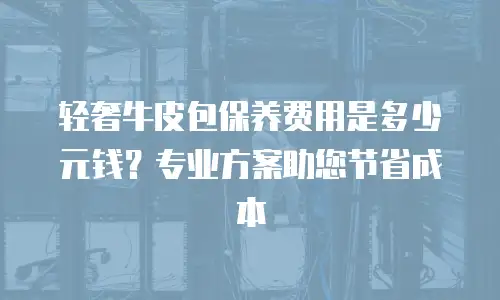 轻奢牛皮包保养费用是多少元钱？专业方案助您节省成本