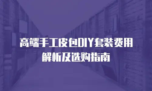 高端手工皮包DIY套装费用解析及选购指南