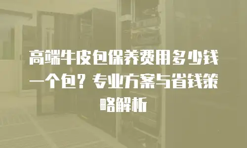 高端牛皮包保养费用多少钱一个包？专业方案与省钱策略解析