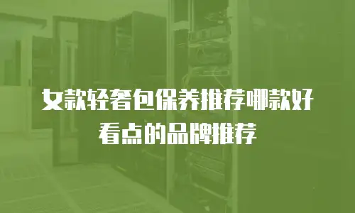 女款轻奢包保养推荐哪款好看点的品牌推荐