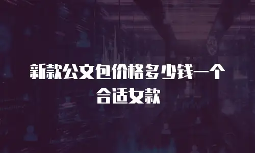 新款公文包价格多少钱一个合适女款