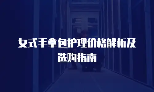 女式手拿包护理价格解析及选购指南