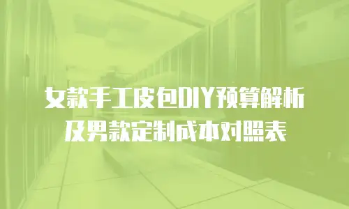 女款手工皮包DIY预算解析及男款定制成本对照表