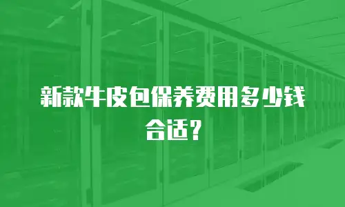 新款牛皮包保养费用多少钱合适？
