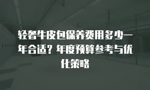 轻奢牛皮包保养费用多少一年合适？年度预算参考与优化策略