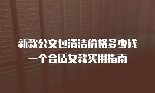 新款公文包清洁价格多少钱 一个合适女款实用指南