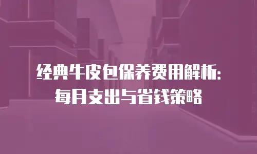 经典牛皮包保养费用解析：每月支出与省钱策略