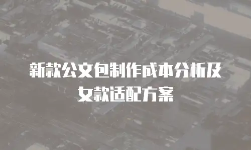新款公文包制作成本分析及女款适配方案