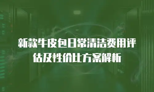 新款牛皮包日常清洁费用评估及性价比方案解析