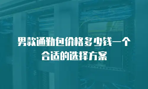 男款通勤包价格多少钱一个合适的选择方案