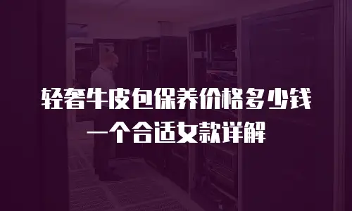 轻奢牛皮包保养价格多少钱一个合适女款详解