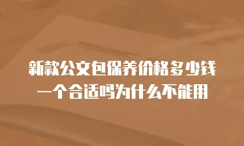 新款公文包保养价格多少钱一个合适吗为什么不能用