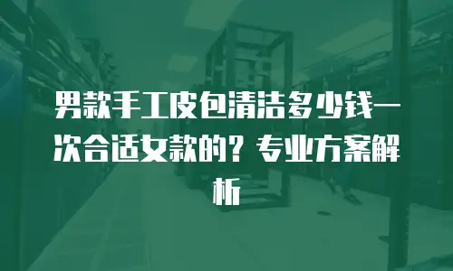 男款手工皮包清洁多少钱一次合适女款的？专业方案解析