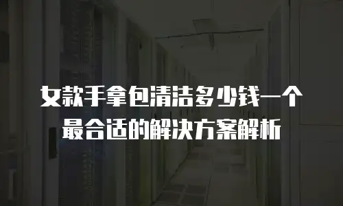 女款手拿包清洁多少钱一个 最合适的解决方案解析