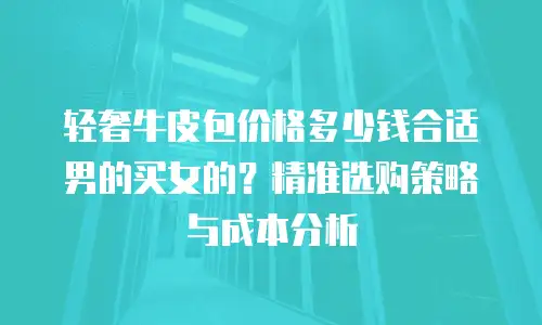 轻奢牛皮包价格多少钱合适男的买女的？精准选购策略与成本分析