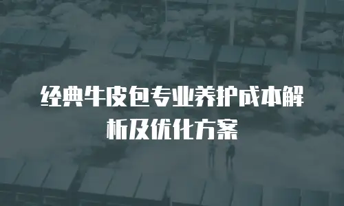 经典牛皮包专业养护成本解析及优化方案