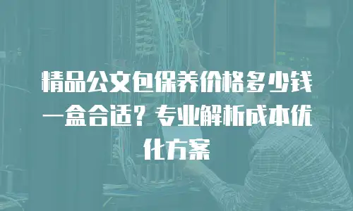 精品公文包保养价格多少钱一盒合适？专业解析成本优化方案