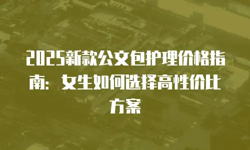2025新款公文包护理价格指南：女生如何选择高性价比方案