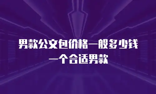 男款公文包价格一般多少钱一个合适男款