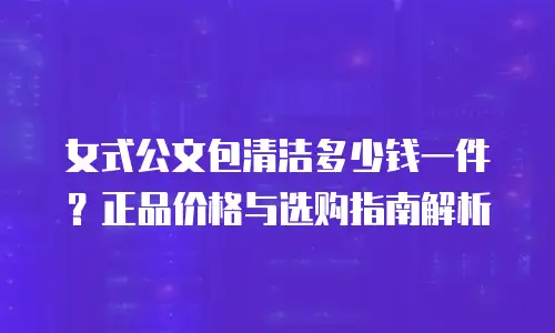 女式公文包清洁多少钱一件？正品价格与选购指南解析