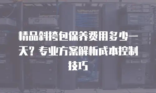 精品斜挎包保养费用多少一天？专业方案解析成本控制技巧