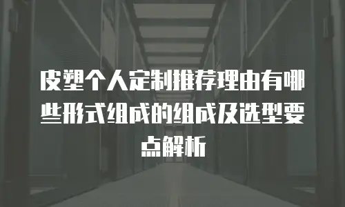 皮塑个人定制推荐理由有哪些形式组成的组成及选型要点解析