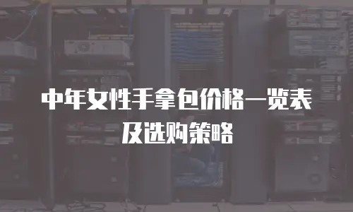 中年女性手拿包价格一览表及选购策略