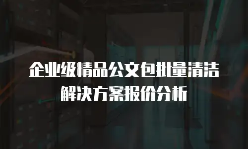 企业级精品公文包批量清洁解决方案报价分析