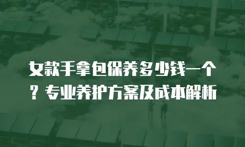 女款手拿包保养多少钱一个？专业养护方案及成本解析