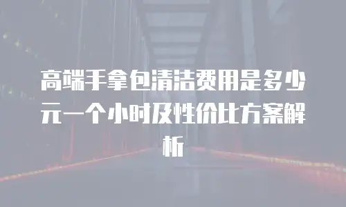 高端手拿包清洁费用是多少元一个小时及性价比方案解析