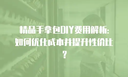精品手拿包DIY费用解析：如何优化成本并提升性价比？